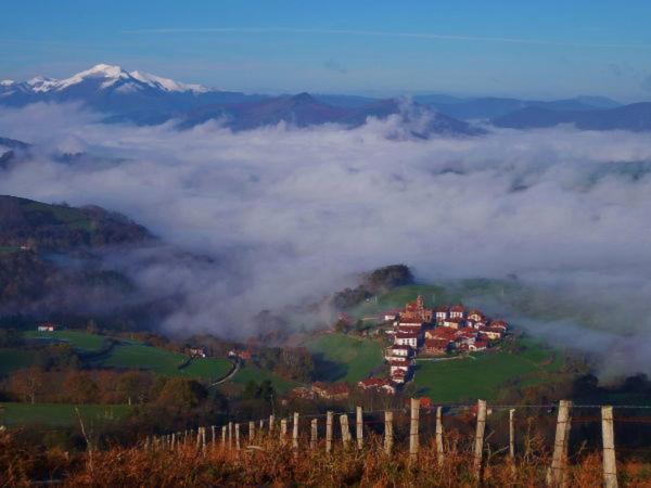 Casa Rural Aldekoa Ziga エクステリア 写真